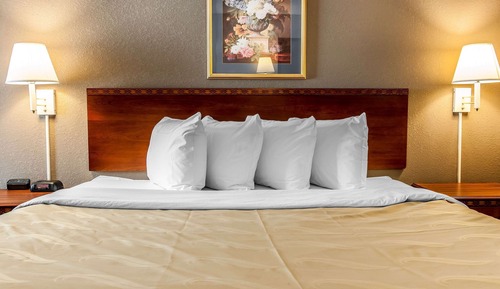 Standard Room, 1 King Bed, Non Smoking