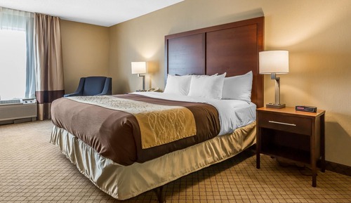 Room, 1 King Bed, Non Smoking