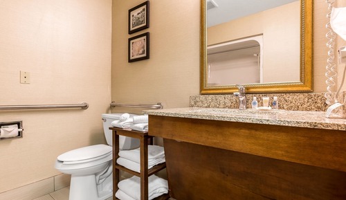 Standard Room, 1 King Bed, Accessible, Non Smoking (Accessible Tub)