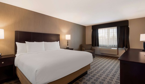 Standard Room, 1 King Bed, Non Smoking, Refrigerator & Microwave