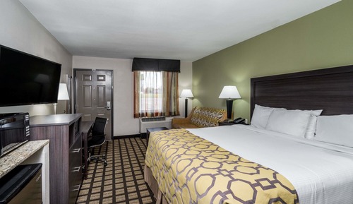 Room, 1 King Bed with Sofa bed, Accessible, Non Smoking (Roll-In Shower)