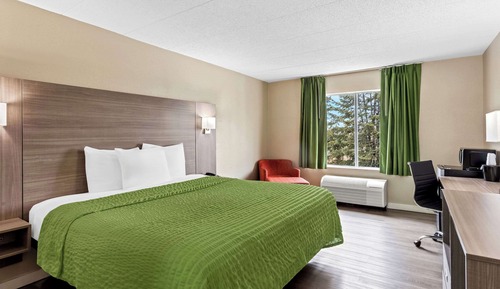 Standard Room, 1 King Bed, Non Smoking