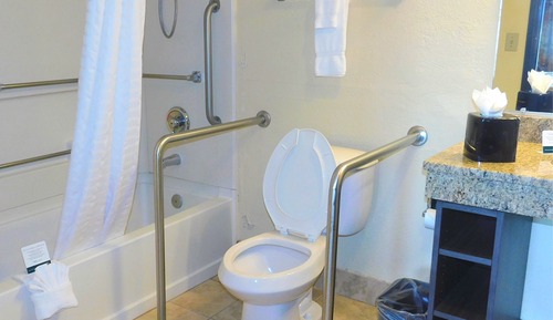 Room, 1 King Bed, Accessible, Non Smoking