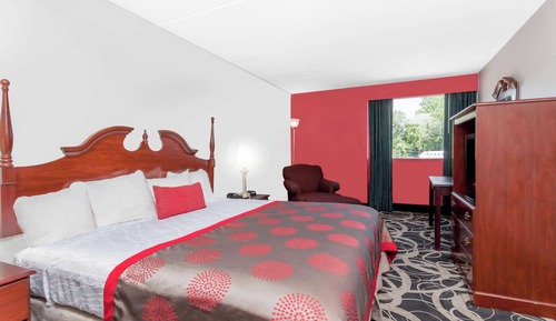 Room, 1 King Bed, Non Smoking (Accessible)