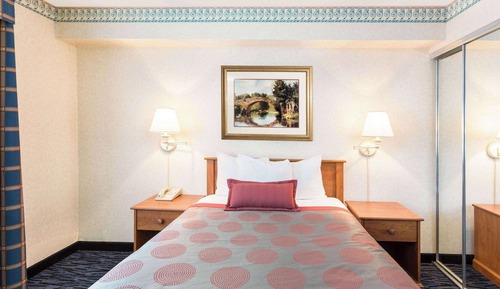 Room, 1 Double Bed, Accessible, Non Smoking (Mobility, Roll-in Shower)