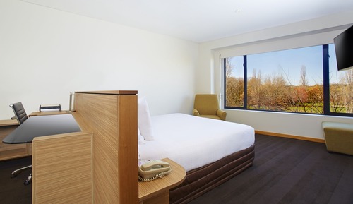 Standard Room, 1 King Bed, Park View