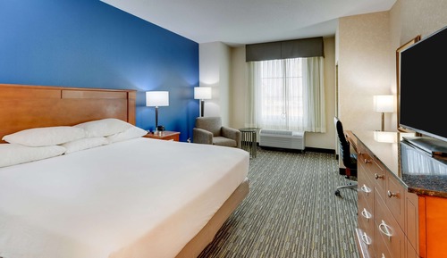 Deluxe Room, 1 King Bed, Accessible, Refrigerator & Microwave (Roll in Shower)