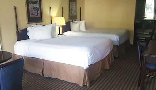 Standard Room, 2 Queen Beds