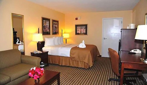 Room, 1 King Bed with Sofa bed, Accessible, Non Smoking
