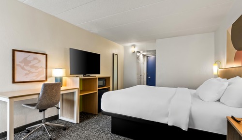 Room, 1 King Bed
