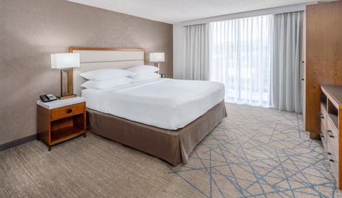 Suite, 1 King Bed