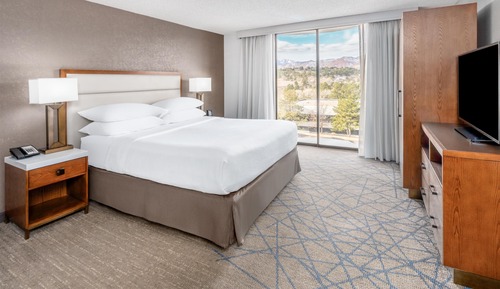 Room, 1 King Bed, Mountain View