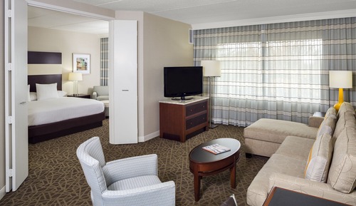 Suite, 1 King Bed