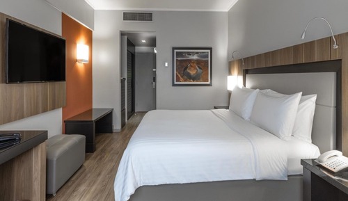 Room, 1 King Bed, Non Smoking