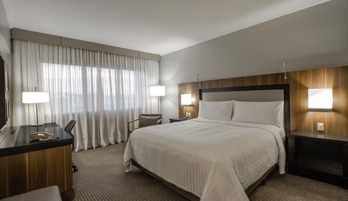 Executive Room, 1 King Bed