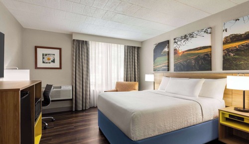 Room, 1 Queen Bed, Accessible, Non Smoking (Mobility Accessible)