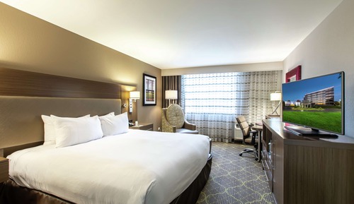 Basic Room, 1 King Bed, Accessible, Bathtub