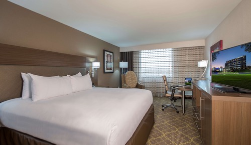 Room, 1 King Bed, Accessible, Non Smoking (Roll In Shower)