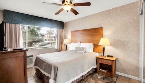 Suite, 1 Bedroom