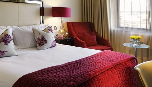 Deluxe Room, 1 Queen Bed