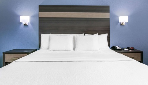 Room, 1 King Bed, Accessible, Smoking (Mobility, Roll-In-Shower)