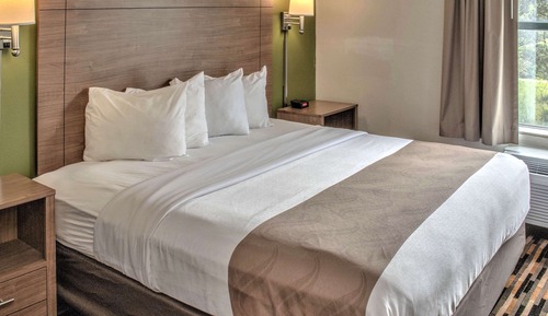 Suite, 1 King Bed with Sofa bed, Non Smoking