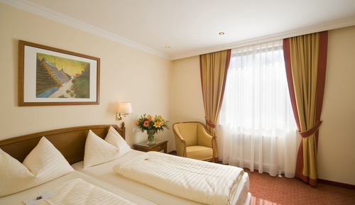 Basic Double or Twin Room (Traube)
