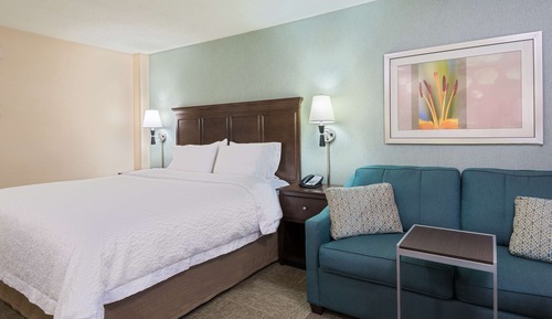 Room, 1 King Bed, Non Smoking (With Sofa Bed, Drinks-Snacks)