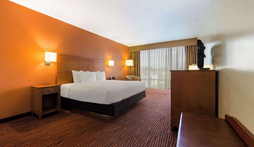 Suite, 1 King Bed, Non Smoking, Refrigerator & Microwave (with Sofabed)
