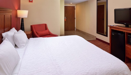 Room, 1 King Bed, Accessible, Non Smoking