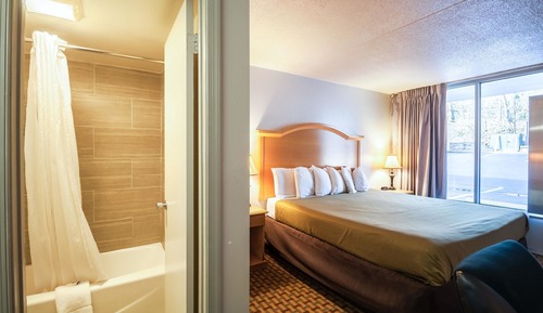 Standard Room, 1 King Bed, Non Smoking