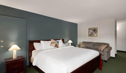 Suite, 1 King Bed, Non Smoking (One-Bedroom)