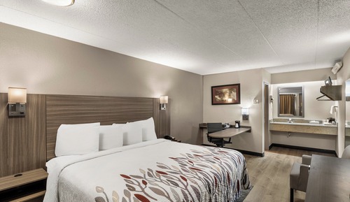 Superior Room, 1 King Bed, Non Smoking