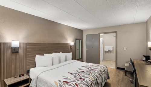 Superior Room, 1 King Bed, Accessible, Non Smoking (Roll-In Shower)