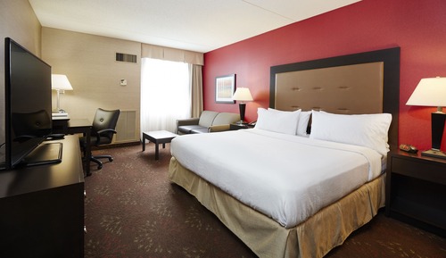 Room, 1 King Bed with Sofa bed