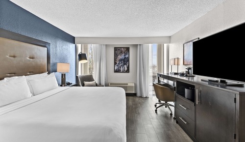 Room, 1 King Bed