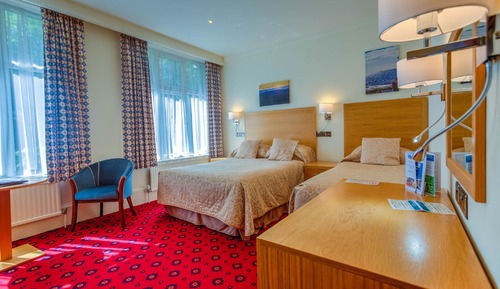 Family or Twin room