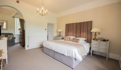 Deluxe Double or Twin Room