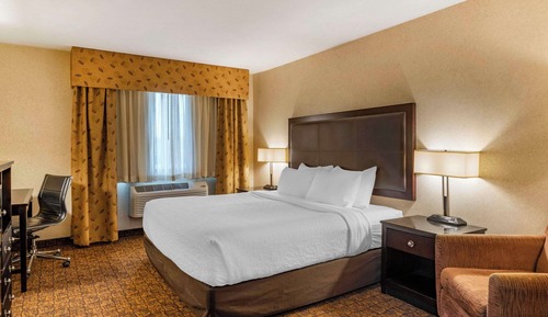 Room, 1 King Bed, Accessible, Non Smoking (Roll-in Shower)