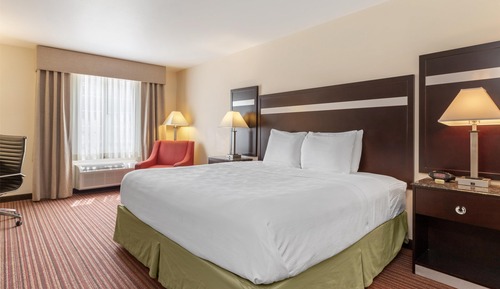 Standard Room, 1 King Bed, Non Smoking