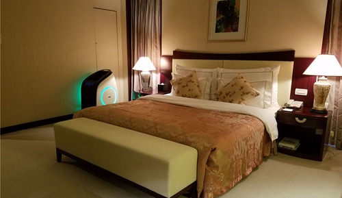 Deluxe Suite, 1 King Bed