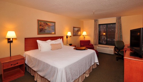 Room, 1 King Bed