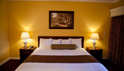 Standard Room, 1 King Bed, Non Smoking