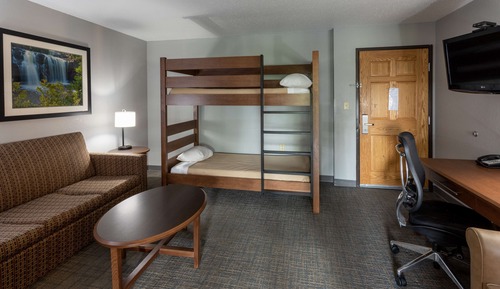 Suite, 1 King Bed with Sofa bed
