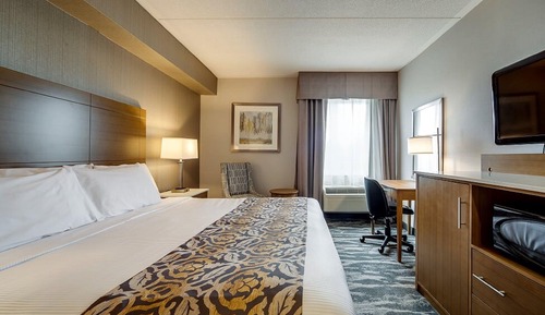 Standard Room with 1 King Bed