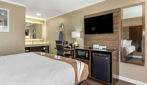 Room, 1 King Bed, Non Smoking