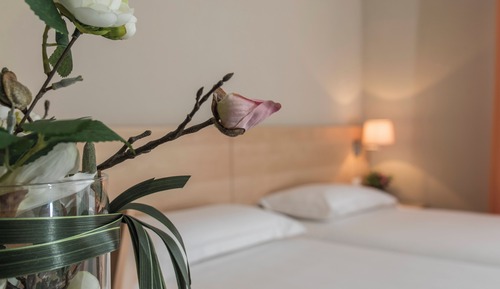 Twin Room, 2 Twin Beds