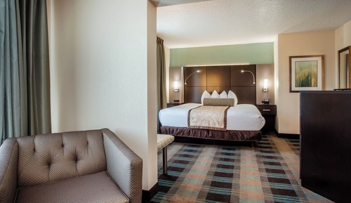 Studio Suite, 1 King Bed, Non Smoking