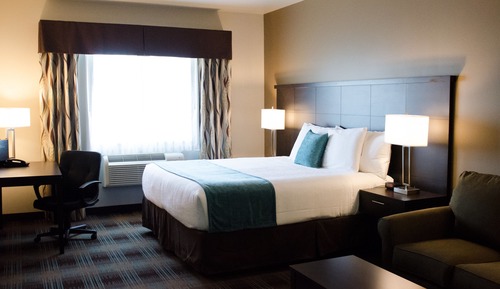 Suite, 1 King Bed with Sofa bed (King Executive Suite With Pullout Cou)