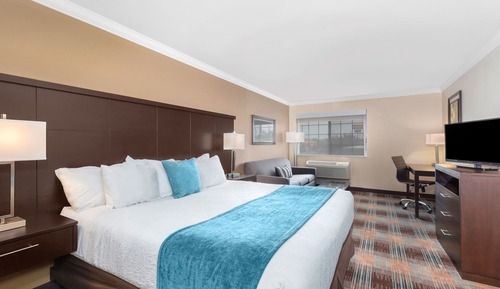Room, 1 Queen Bed, Accessible (ADA Single Queen)